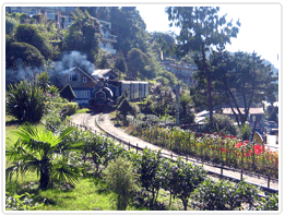 Discover Sikkim Tour 